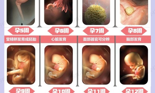 备孕能吃辣椒影响备孕吗-备孕期吃辛辣的对生男生女有影响吗-备孕能吃辣椒影响备孕吗,中国备孕期间特别想吃辣椒网站