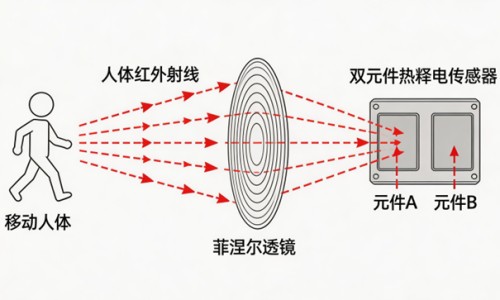 备孕能吃辣椒影响备孕吗-备孕期吃辛辣的对生男生女有影响吗-备孕能吃辣椒影响备孕吗,中国备孕期间特别想吃辣椒网站